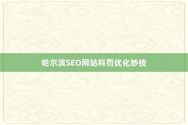 哈尔滨SEO网站科罚优化妙技